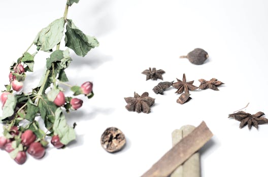 Koření, které podporují mužskou erekci: Přírodní tipy!